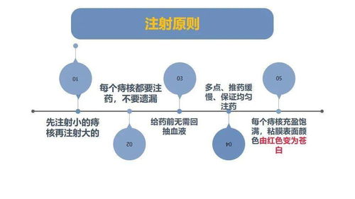 內(nèi)痔微創(chuàng)硬化治療技術(shù)與人體干細胞技術(shù) 臨床應(yīng)用與發(fā)展探索