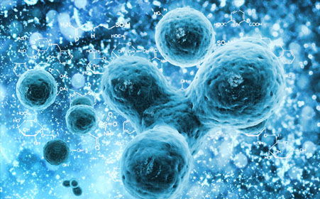 人體干細胞技術與尖銳濕疣發生因素 兩個不同領域的科學探討